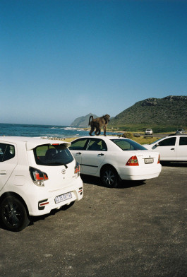  Fabian Schmidt - photographer based in Hamburg, Germany