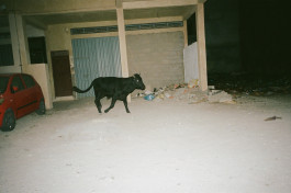  Fabian Schmidt - photographer based in Hamburg, Germany