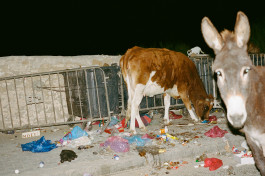  Fabian Schmidt - photographer based in Hamburg, Germany