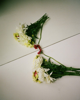  Fabian Schmidt - photographer based in Hamburg, Germany